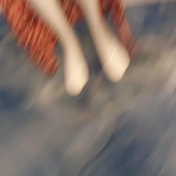 Sheer leopard print 2 piece skirt and top - Picture 6 of 12